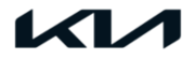 Netzi