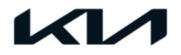 Netzi